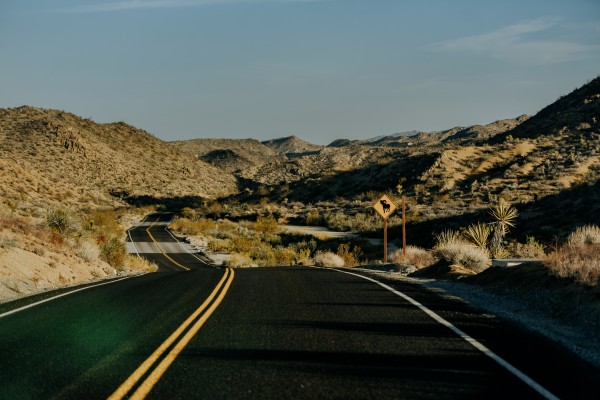 Joshua Tree Road Print